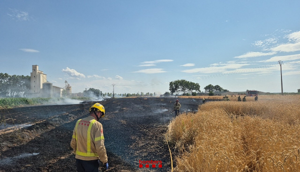 Detingut un jove de 18 anys de Vilanova de Bellpuig per provocar tres incendis agrícoles