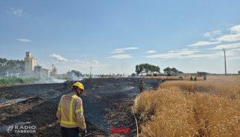 Detingut un jove de 18 anys de Vilanova de Bellpuig per provocar tres incendis agrícoles