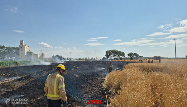 Detingut un jove de 18 anys de Vilanova de Bellpuig per provocar tres incendis agrícoles