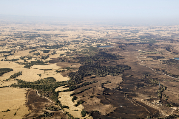 Alcaldes de la Segarra, l’Urgell i la Noguera afectats per l’incendi de Torrefeta reclamen més atenció del Govern