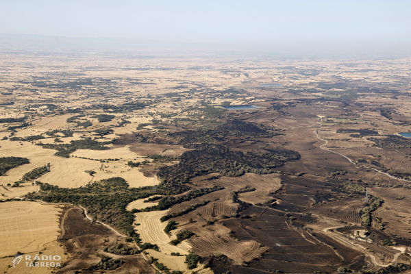 Alcaldes de la Segarra, l’Urgell i la Noguera afectats per l’incendi de Torrefeta reclamen més atenció del Govern