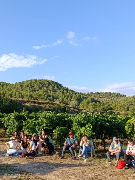 Bona participació a l’Urgell, música entre vinyes