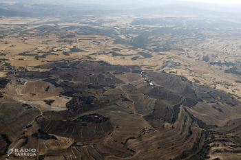 Ordeig defensa el treball dels tècnics davant la denúncia ecologista pels incendis de la Segarra, l'Urgell i la Noguera