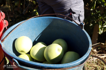 Les exportacions a Ponent baixen un 1,5% entre gener i juliol i es queden en 1.856 MEUR