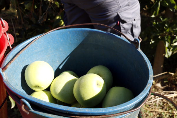 Les exportacions a Ponent baixen un 1,5% entre gener i juliol i es queden en 1.856 MEUR