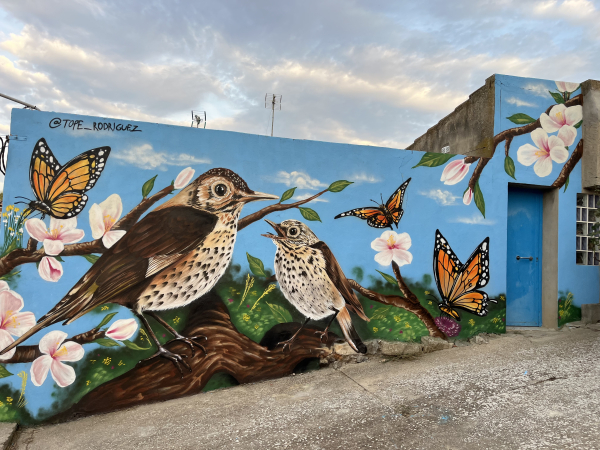L'artista targarí Tope Rodríguez pinta un mural col·laboratiu amb els veïns del barri del Castell de Tàrrega