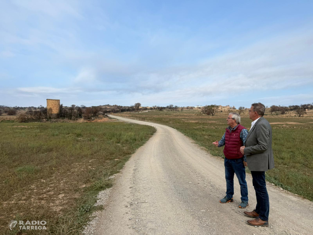 El president de la Diputació de Lleida ha visitat els municipis afectats per l'incendi de Torrefeta i Florejacs