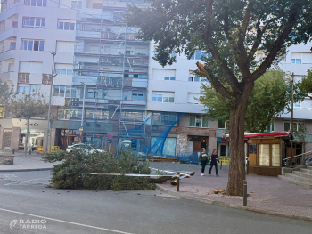 Fortes ratxes de vent provoquen alguns incidents a Tàrrega