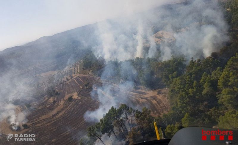 Foc forestal entre els Omells de Na Gaia i Vallbona de les Monges a l'Urgell