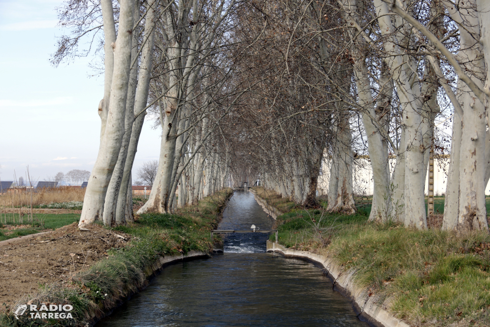 La Comunitat de Regants del Canal d'Urgell aprova el pressupost del 2026, que ascendeix a 12 milions d'euros