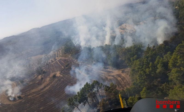 Extingit l'incendi de l'Urgell que ha afectat 8,6 hectàrees, majoritàriament agrícoles