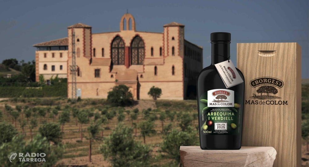 Borges participa al primer Mercat de l’Oli Nou amb la nova producció 2025 d’oli verge extra Mas de Colom