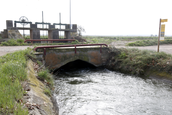L'Associació Agrària de Joves Agricultors (ASAJA) i Manifest del Gran Urgell demanen ajornar de manera indefinida la votació de modernització del canal d'Urgell