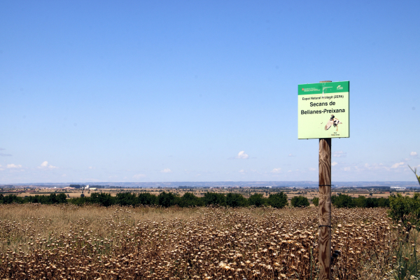 Entitats ecologistes acusen els opositors a les ZEPA d’exercir 'agricultura industrial' a favor de 'grans corporacions'