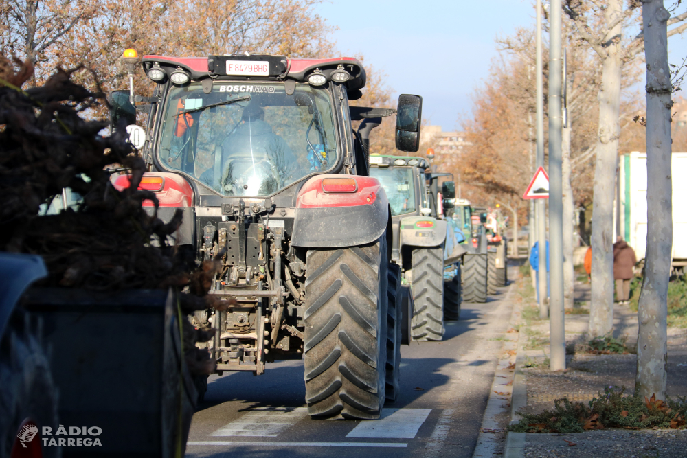Acord entre el Govern i el sector agrari per compensar amb 7 MEUR les 14.000 hectàrees ZEPA excloses de regadiu