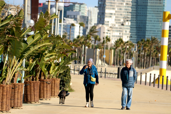 Protecció Civil diu que dissabte no s'esperen situacions de risc 'vital' pel vent però demana no abaixar la guàrdia