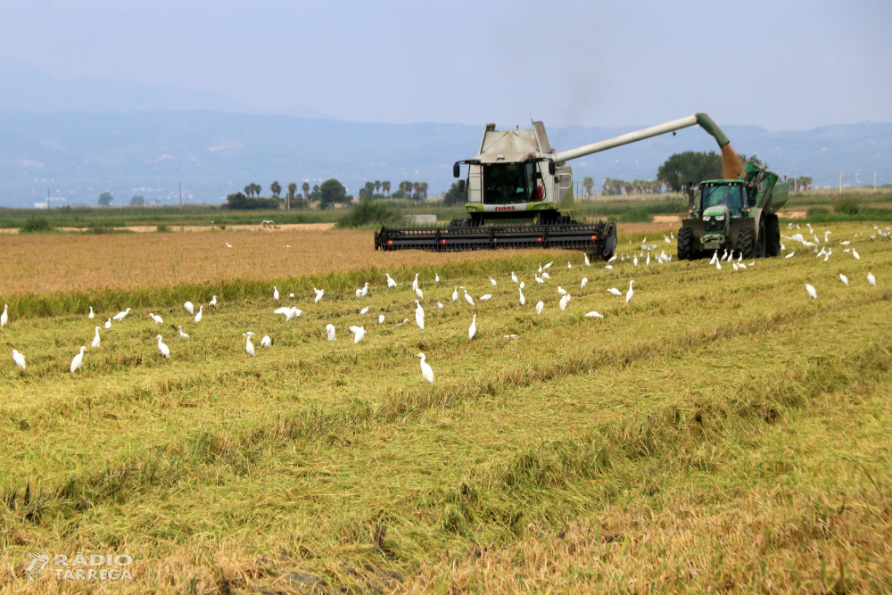 Més de 21.000 professionals estan cridats a votar a les Eleccions Agràries 2026 d'aquest divendres