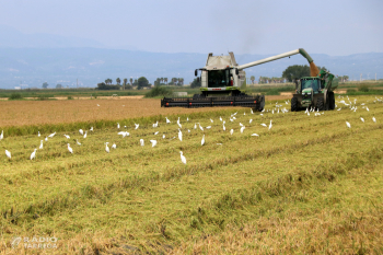Més de 21.000 professionals estan cridats a votar a les Eleccions Agràries 2026 d'aquest divendres