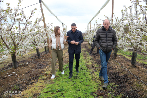 El Govern donarà ajudes als pagesos que es vulguin jubilar i traspassin les seves terres a un jove agricultor