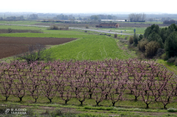 L'encariment del gasoil i els fertilitzants arran de la guerra colpeja la pagesia: 'Ens aboca a un altre any de pèrdues'