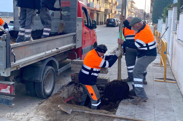 L’Ajuntament de Tàrrega renova arbrat als carrers del Canal d’Urgell i Betlem