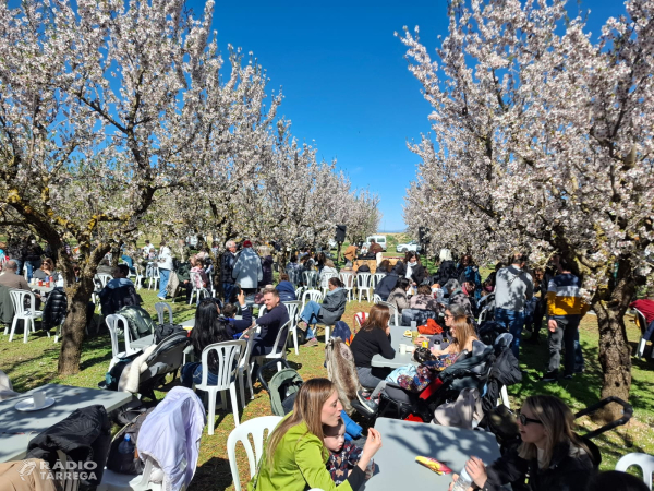 Èxit de públic a la floració dels ametllers a l'Urgell que reuneix 3.250 visitants