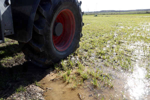 Unió de Pagesos reclama autoritzacions excepcionals per aplicar fitosanitaris amb drons als conreus herbacis afectats pels aiguats
