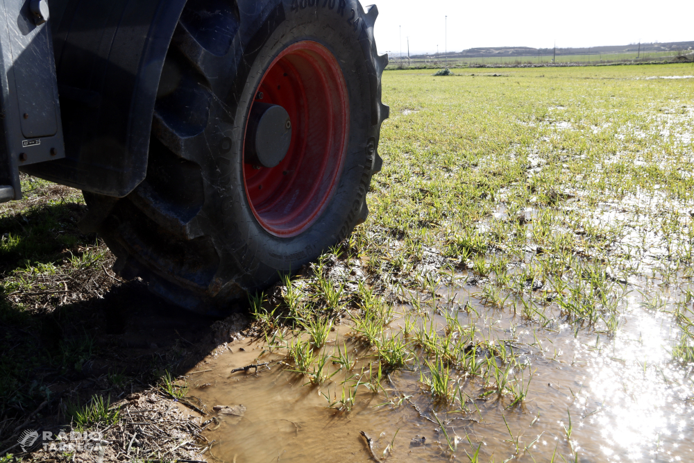 Unió de Pagesos reclama autoritzacions excepcionals per aplicar fitosanitaris amb drons als conreus herbacis afectats pels aiguats