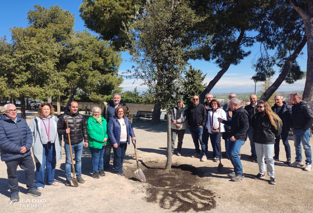 Tàrrega celebra una nova edició de la Festa de l’Arbre al Parc de Sant Eloi