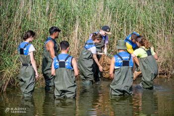 Joventut obre les inscripcions per fer un camp de treball a l'estiu a Catalunya, a la resta de l'Estat i a l'estranger