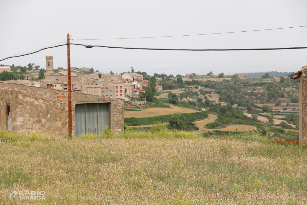 Desestimen una de les centrals fotovoltaiques més grans de Catalunya entre la Conca de Barberà i l'Urgell