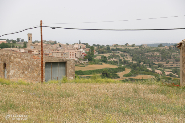 Desestimen una de les centrals fotovoltaiques més grans de Catalunya entre la Conca de Barberà i l'Urgell
