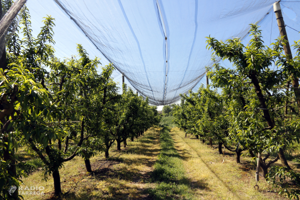 L'ADV Terres de Ponent alerta de pedregades més virulentes pel canvi climàtic