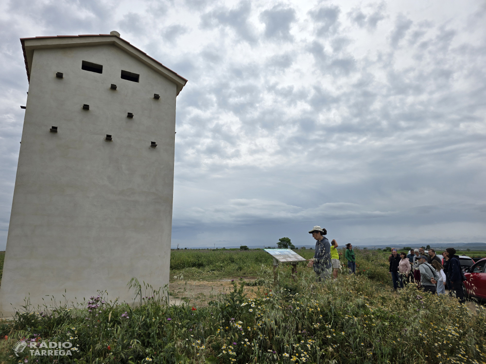 Sortida ornitològica als Secans de Preixana - Belianes organitzada pel Grup d'Ecologia i Medi Ambient de Tàrrega