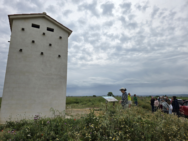Sortida ornitològica als Secans de Preixana - Belianes organitzada pel Grup d'Ecologia i Medi Ambient de Tàrrega