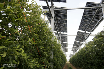 Plaques solars damunt de fruiters o a l'aigua, exemples d'energies renovables a Ponent que no comprometen el sòl agrari