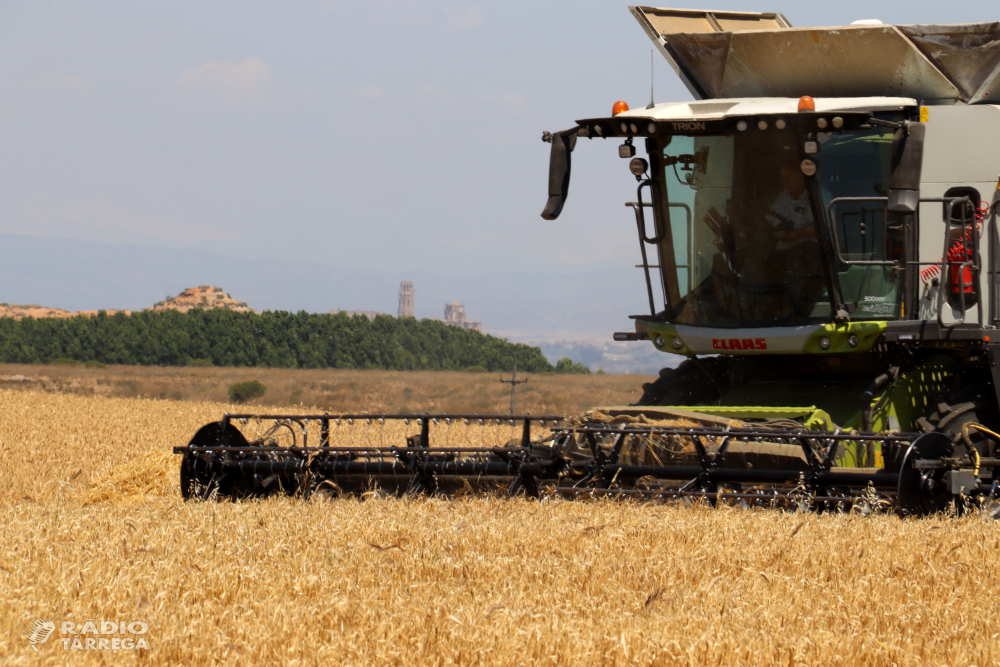 Comença la campanya del cereal a Ponent, que s’accelera a causa de les elevades temperatures