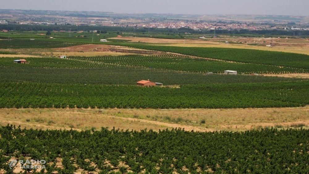 El Departament d'Agricultura abona 6,6 M€ de l'ajut agroambiental a conreus sostenibles 2025 a 2.227 agricultors i agricultores