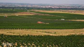 El Departament d'Agricultura abona 6,6 M€ de l'ajut agroambiental a conreus sostenibles 2025 a 2.227 agricultors i agricultores