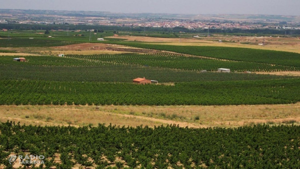 El Departament d'Agricultura abona 6,6 M€ de l'ajut agroambiental a conreus sostenibles 2025 a 2.227 agricultors i agricultores