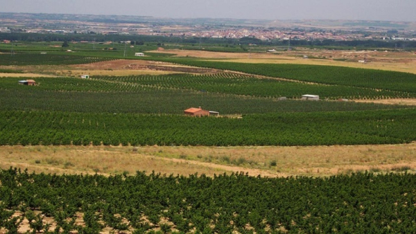 El Departament d'Agricultura abona 6,6 M€ de l'ajut agroambiental a conreus sostenibles 2025 a 2.227 agricultors i agricultores