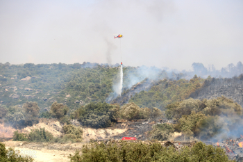 Els Bombers estabilitzen un incendi de vegetació agrícola i forestal a Sanaüja, a la Segarra