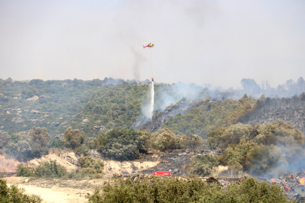 Els Bombers estabilitzen un incendi de vegetació agrícola i forestal a Sanaüja, a la Segarra