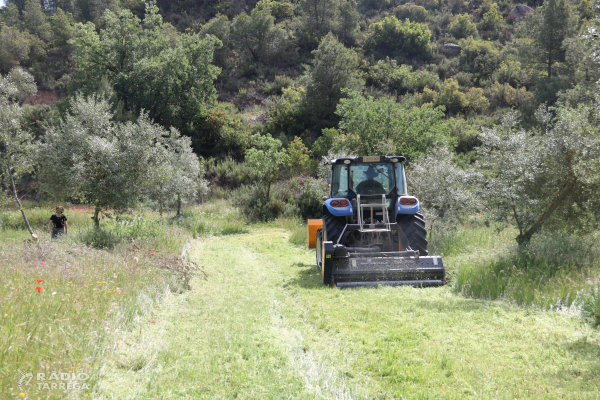 El Departament d'Agricultura abona gairebé 19 milions d'euros als ajuts a la Producció agrària ecològica de la campanya 2025