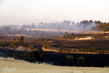 Els Bombers donen per controlats o extingits la desena d'incendis declarats els darrers dies a Ponent