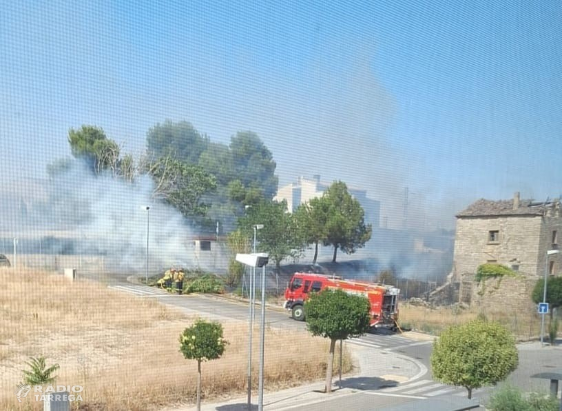 ACTUALITZACIÓ - Extingit l'incendi de vegetació a la zona de la Granja del Calvet de Tàrrega