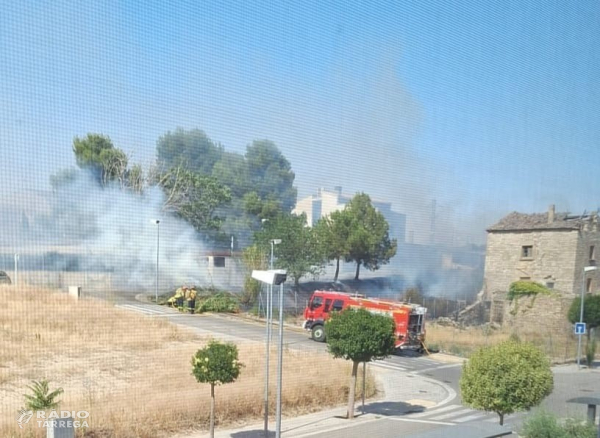 ACTUALITZACIÓ - Extingit l'incendi de vegetació a la zona de la Granja del Calvet de Tàrrega