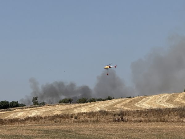 Incendi de vegetació agrícola a Santa Maria de Montmagastrell