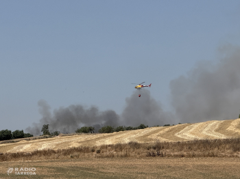 Incendi de vegetació agrícola a Santa Maria de Montmagastrell