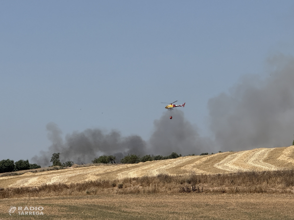 Incendi de vegetació agrícola a Santa Maria de Montmagastrell